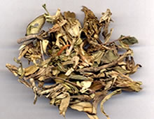 清热药——龙胆草