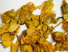 清热药——金莲花
