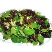 荆芥栽培技术
