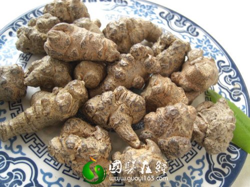 田七的功效与作用_国医在线_guoyi163.com