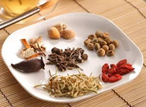 中药饮片的鉴别