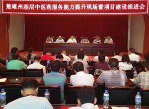 楚雄州召开基层中医药服务能力提升现场推进会