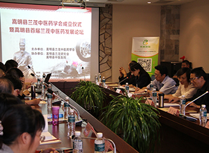 知名中药企业领导及专家为嵩明县兰茂中医药发展献计献策