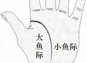你身上藏着粒速效救心丸