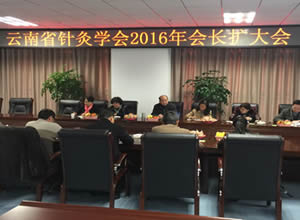 云南省针灸学会2016年会长扩大会召开