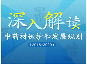 中药材保护和发展规划（2015—2020年）