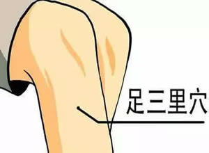 按灸足三里，胃肠好福气